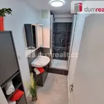 Rent 2 bedroom apartment in Mělník