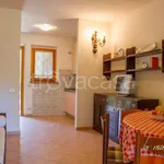 Rent 5 bedroom house of 85 m² in Grosseto