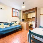 Rent 1 bedroom apartment of 40 m² in Firenze