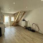 Maison de 47 m² avec 1 chambre(s) en location à Halle