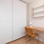 Rent 4 bedroom apartment in Valencia