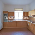 Rent 1 bedroom house of 338 m² in Prague