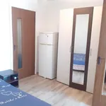 Rent 1 bedroom apartment in Craiova