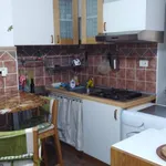 Rent 2 bedroom apartment of 40 m² in Turin