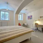 Rent 2 bedroom apartment of 75 m² in prague