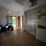 Rent 2 bedroom apartment of 45 m² in Florence