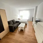 Rent 5 bedroom apartment in Pamplona