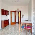 Rent 4 bedroom apartment of 120 m² in Bari