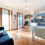 Rent 3 bedroom apartment of 65 m² in Pisa