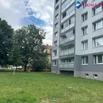 Rent 1 bedroom apartment of 32 m² in Praha