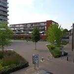 Rent 3 bedroom apartment in De