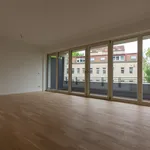 Rent 4 bedroom apartment of 113 m² in Leipzig