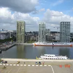 Rent 1 bedroom apartment in Antwerpen