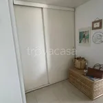 Rent 3 bedroom apartment of 103 m² in Rimini