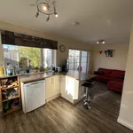 Rent 4 bedroom house in Worcester