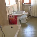 Rent 1 bedroom apartment of 15 m² in Novara