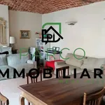 Rent 4 bedroom apartment of 170 m² in Torino