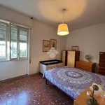 Rent 3 bedroom apartment of 80 m² in Roma