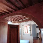 Rent 3 bedroom apartment of 70 m² in Pisa