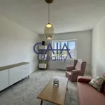 Rent 1 bedroom apartment of 38 m² in Strážnice