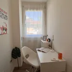 Rent a room in trento