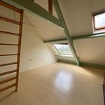 Huur 1 slaapkamer huis van 18 m² in Arnhem