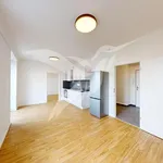 Rent 2 bedroom apartment of 44 m² in Pilsen