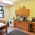 Rent 1 bedroom apartment of 27 m² in Dresden