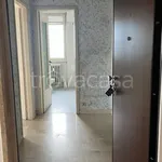 Rent 2 bedroom apartment of 50 m² in Torino