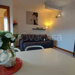 Rent 1 bedroom apartment of 40 m² in Roma