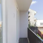 Alugar 1 quarto apartamento de 60 m² em porto