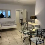 Rent 1 bedroom apartment of 36 m² in Saarbrücken