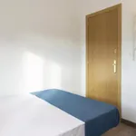 Rent 6 bedroom apartment in Madrid