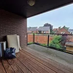 Flat - apartment for rent - Neerpelt