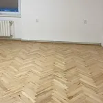 Pronájem bytu 4+1 100m²