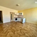 Rent 1 bedroom apartment in Vrchlabí