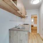 Rent 3 bedroom apartment of 81 m² in Praha