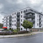 Rent 3 bedroom apartment of 52 m² in Szczecin