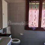 Rent 4 bedroom apartment of 90 m² in Bologna