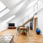 Rent 3 bedroom apartment of 140 m² in Prague