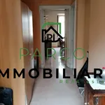 Rent 4 bedroom apartment of 170 m² in Torino