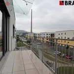 Rent 2 bedroom apartment in Brno