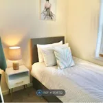 Rent 3 bedroom house in Reading