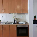 Rent 1 bedroom house in Coimbra