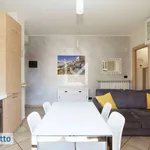 Rent 2 bedroom apartment of 55 m² in Milan