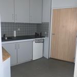 Rent 1 bedroom apartment of 26 m² in ROCHE POSAY