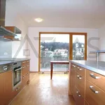 Rent 4 bedroom apartment of 141 m² in Prague