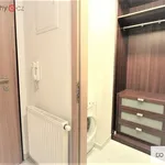 Rent 1 bedroom apartment of 33 m² in Praha