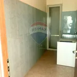 Rent 13 bedroom house of 350 m² in Belpasso