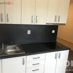 Rent 1 bedroom apartment of 33 m² in Plzeň 3